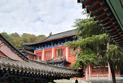 江西萍乡宝善寺简介