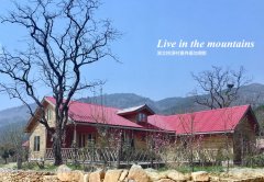 湖北随州桃源村简介-康养基地